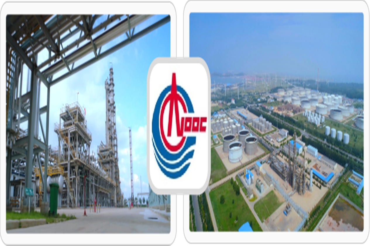 中国海洋石油总公司年产100万吨重交沥青项目